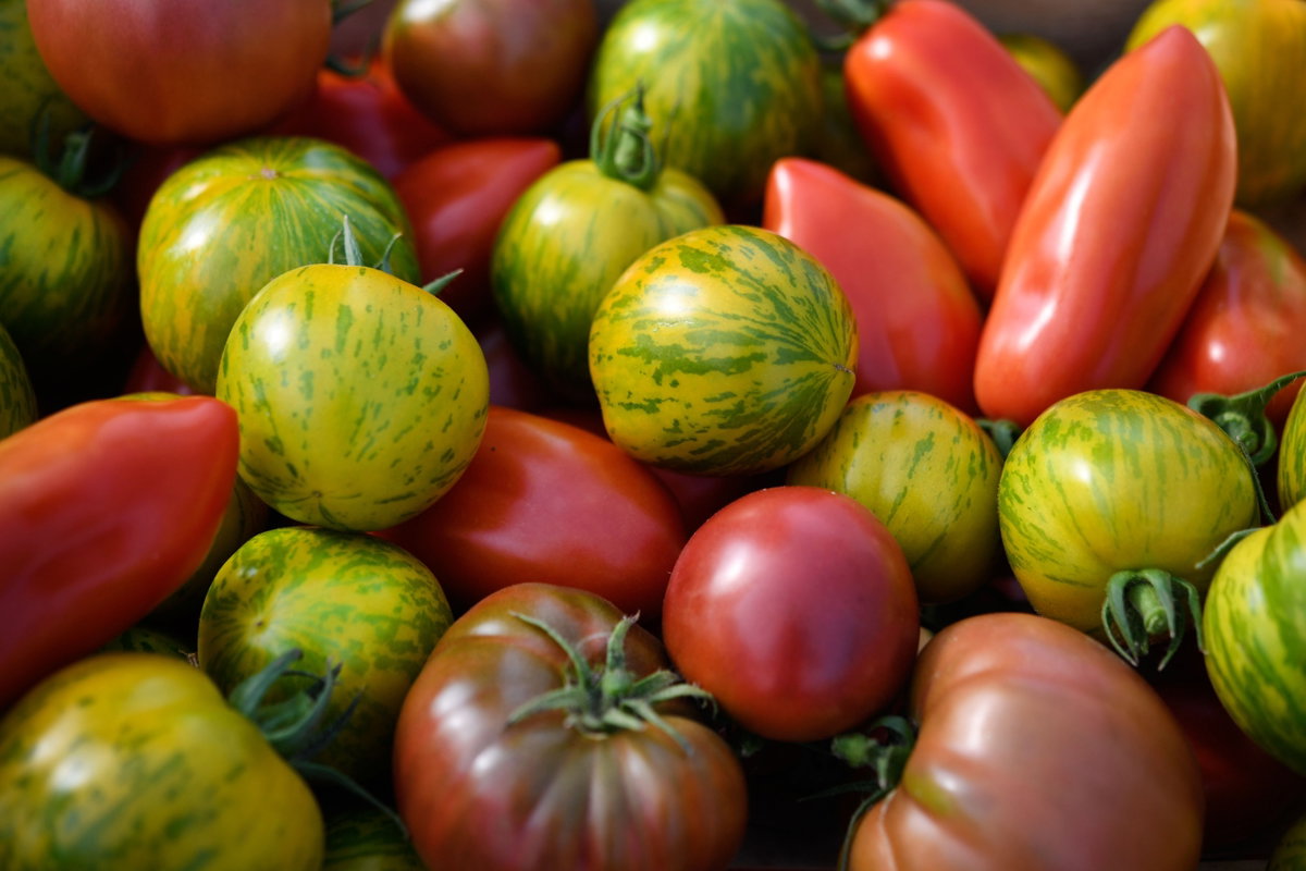 Tomaten