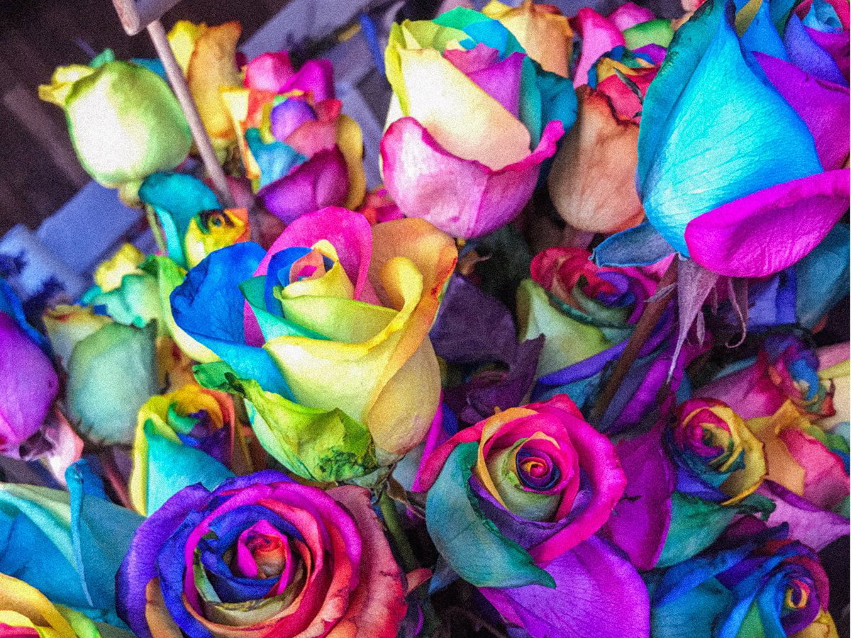 Farben und ihre Bedeutung