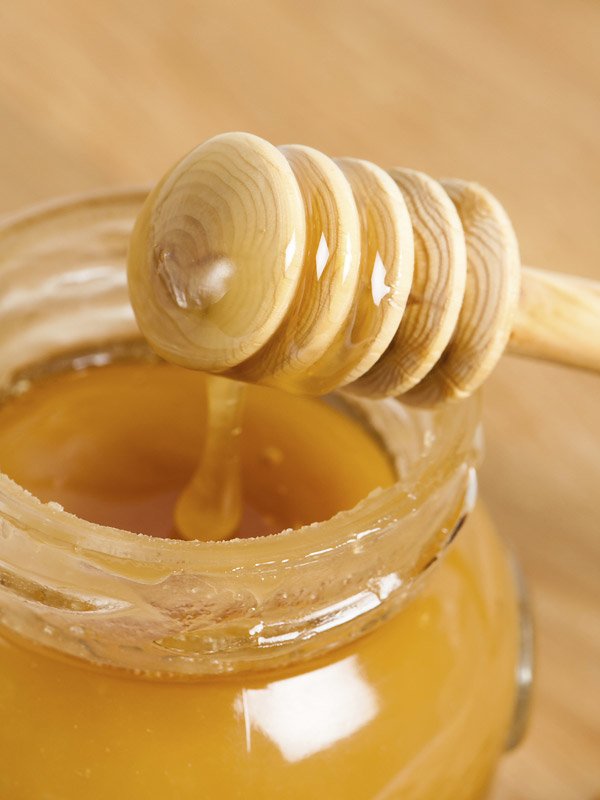 Muschi, Mumu, Möse & Co.