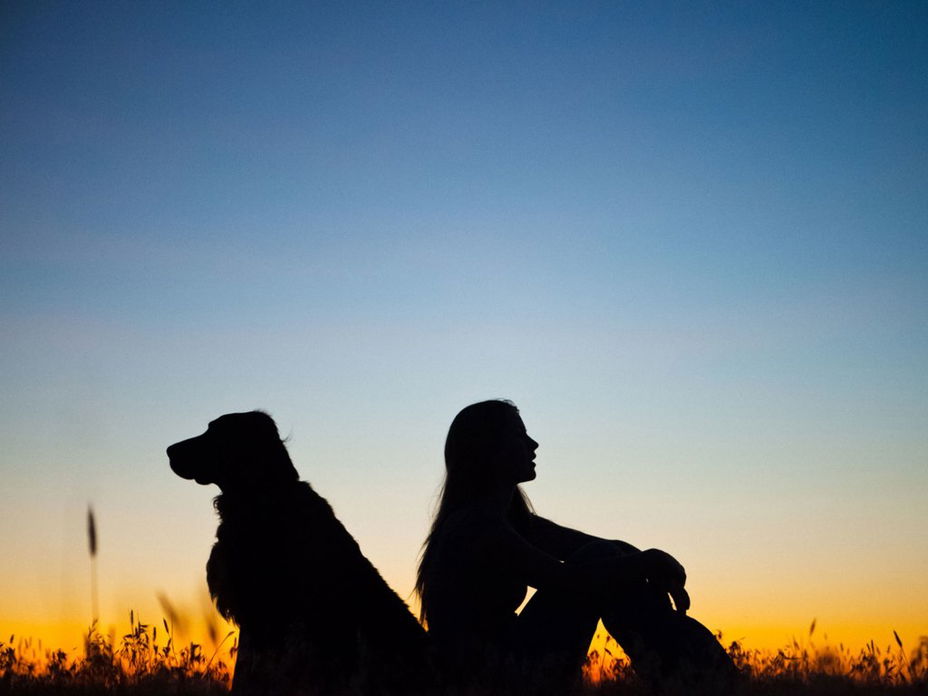 Welcher Hund passt zu mir?
