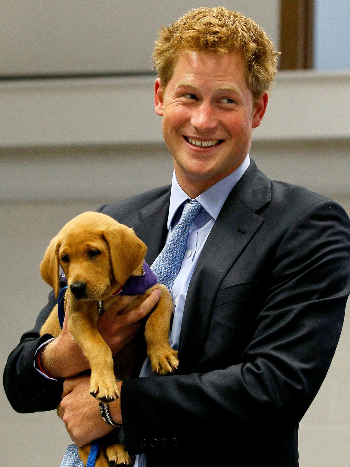 Prinz Harry und Hund