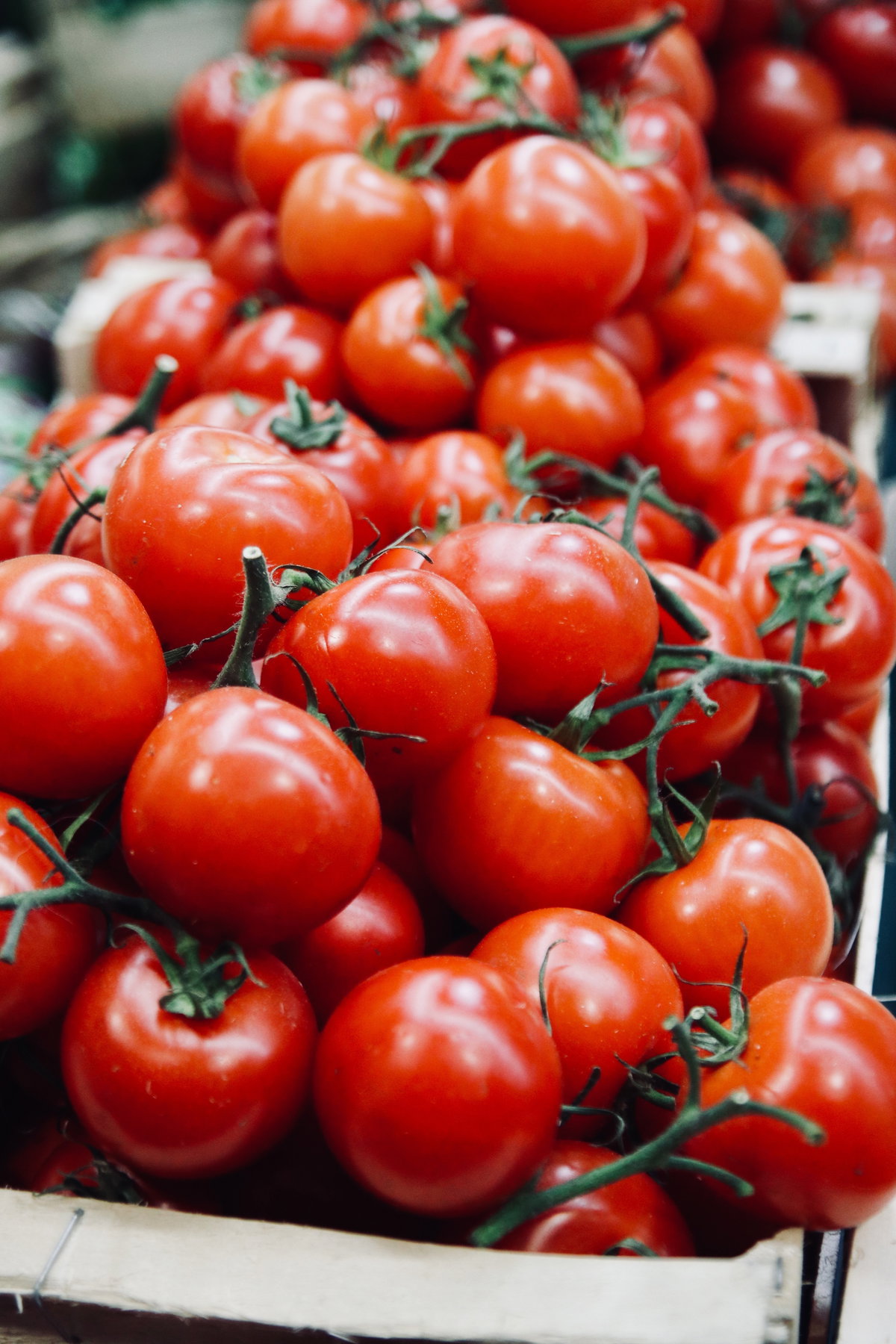 Tomaten