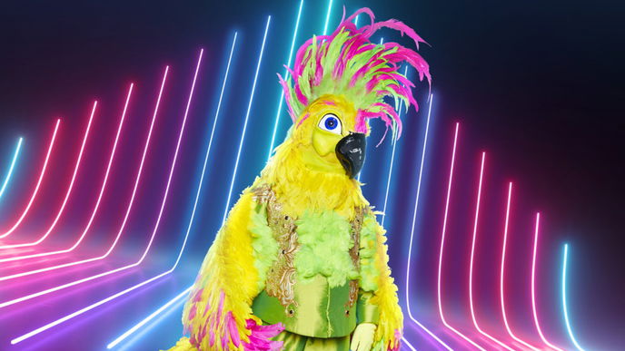 The Masked Singer: So funktioniert die geheimnisvolle Promi-Talent-Show!