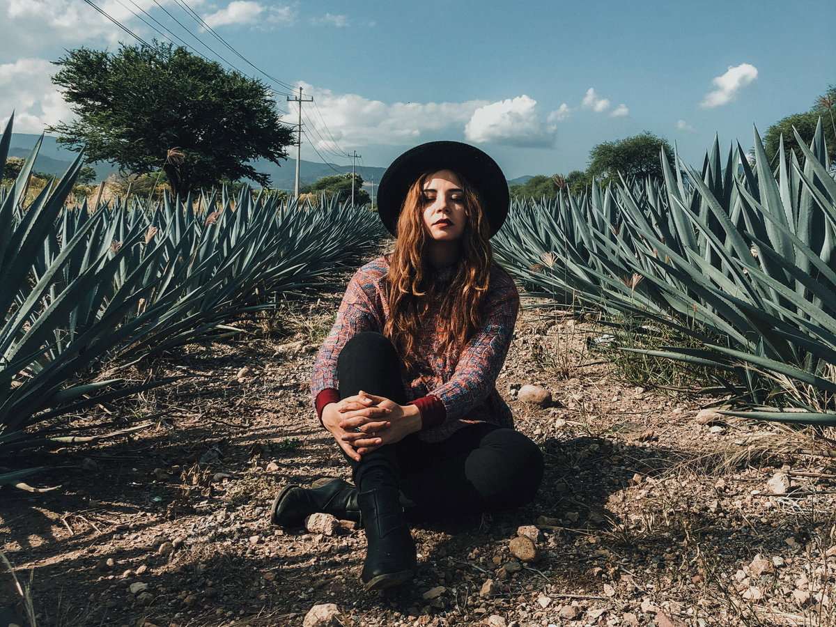 Aloe Vera Feld