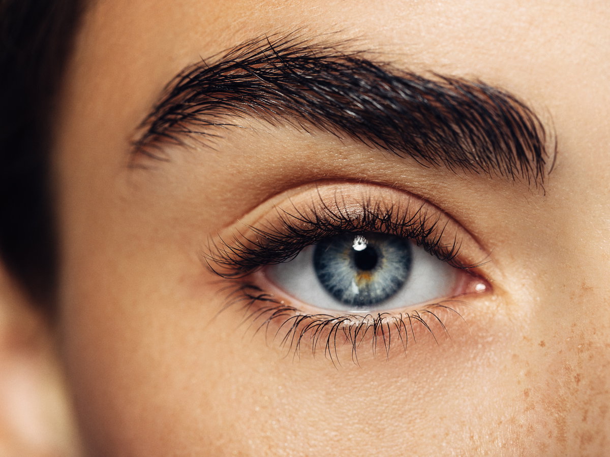 Wimpern