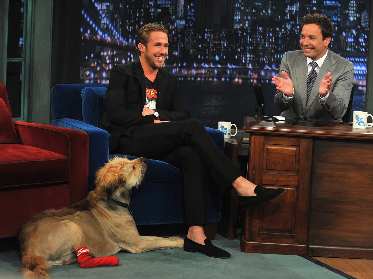 ryan gosling und hund george