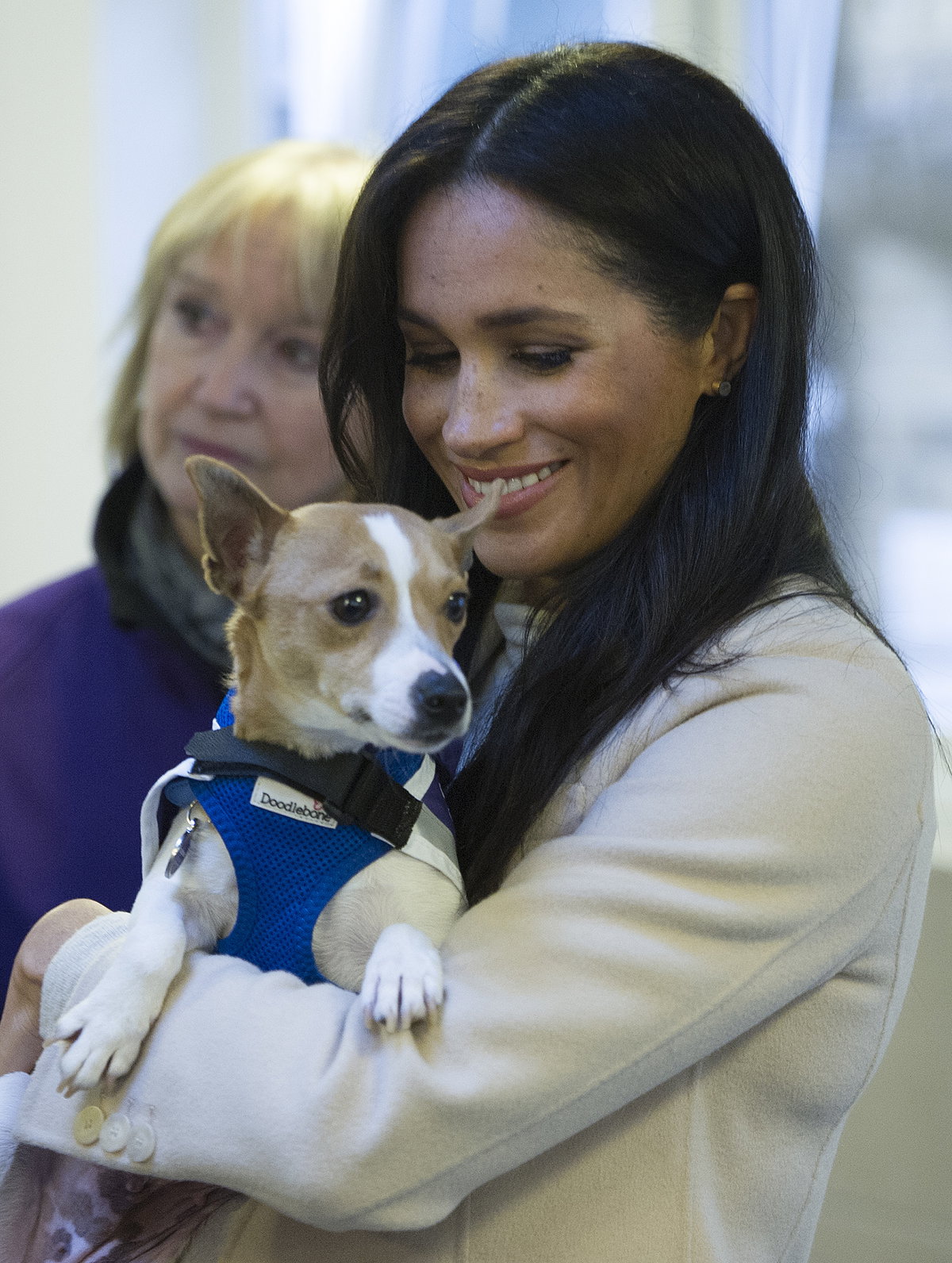 meghan markle tierlieb
