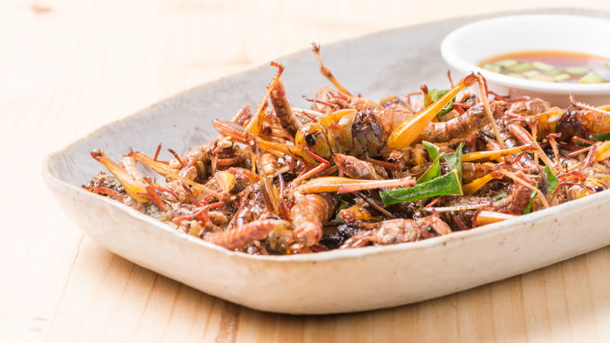 Insekten essen: Eine nachhaltige Alternative zu Fleisch?
