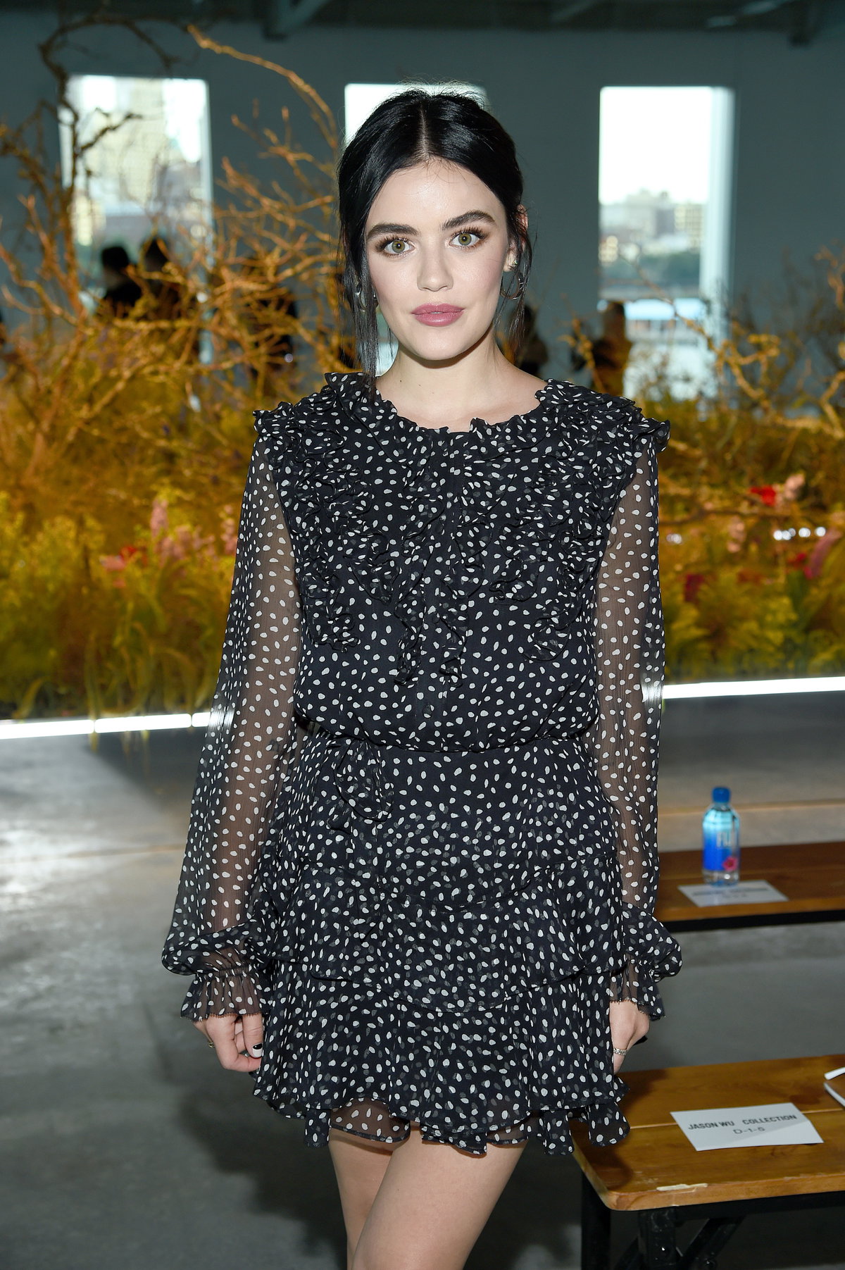 Lucy Hale Frisur