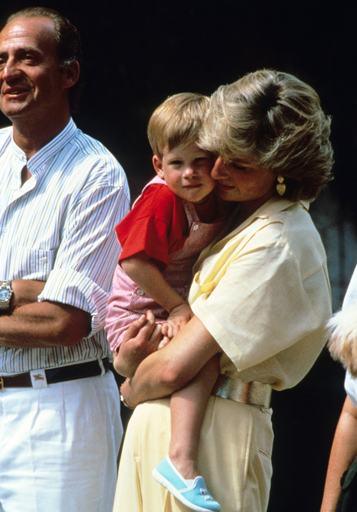 prinz harry prinzessin diana