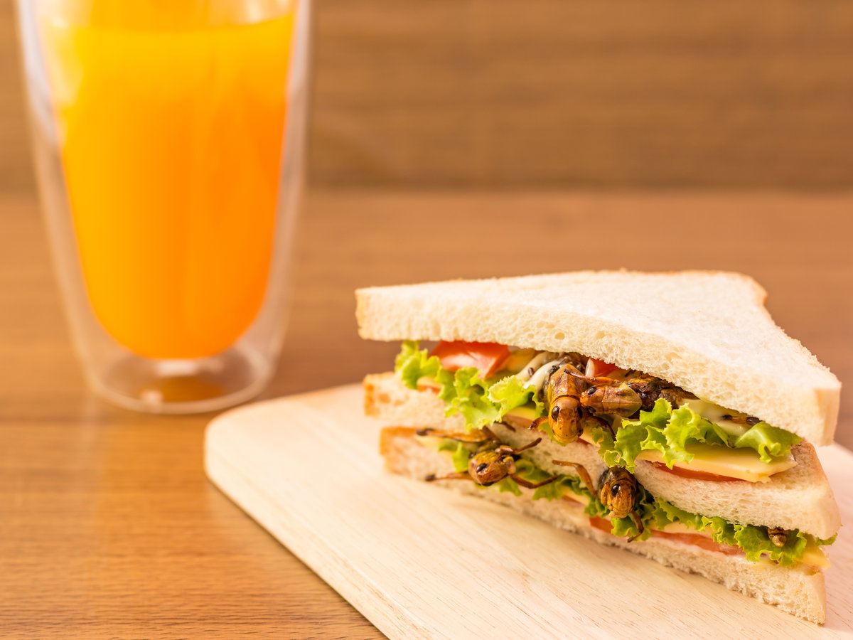 Sandwich mit Heuschrecken und einem Glas Orangensaft