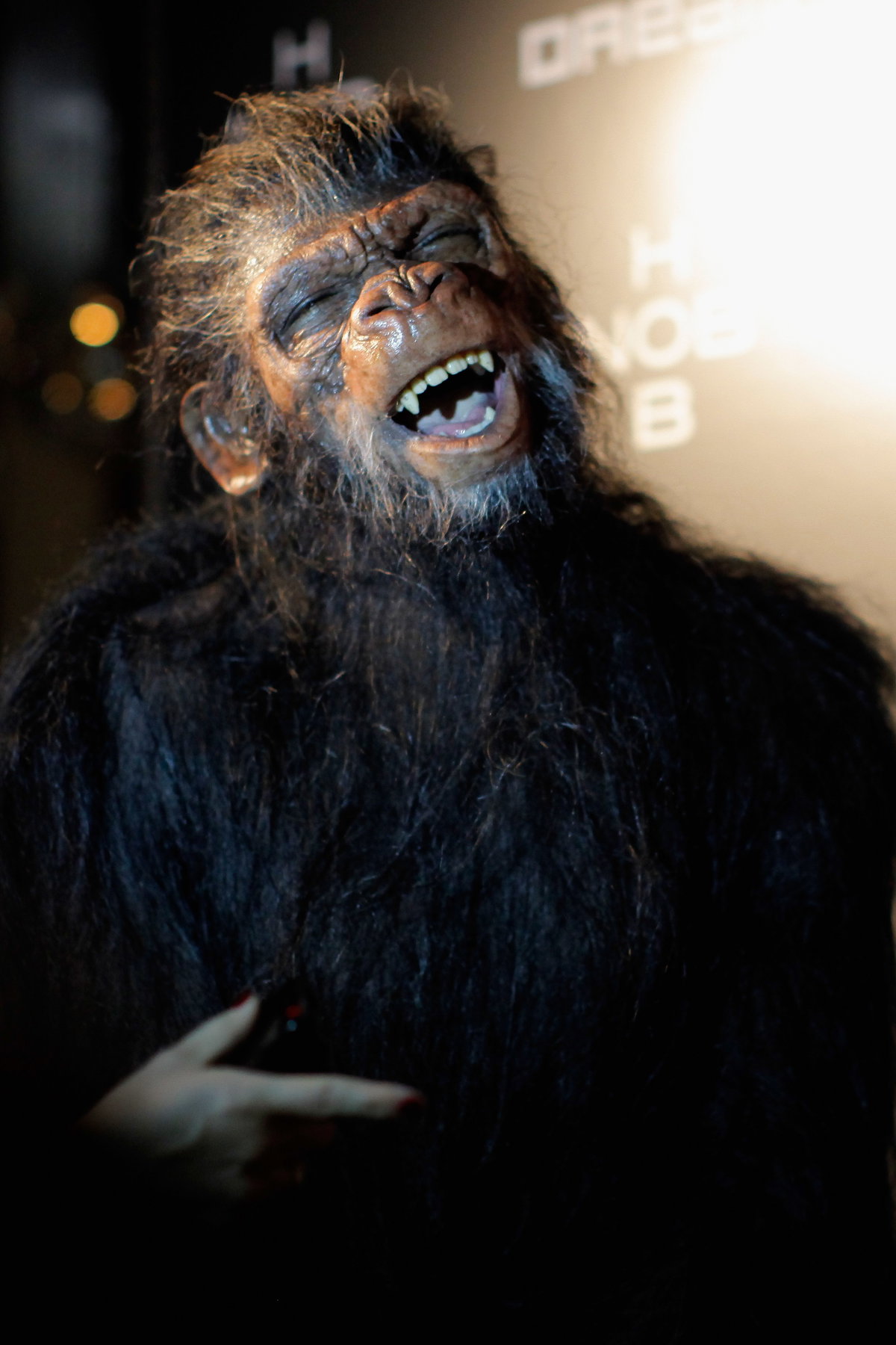Heidi Klum Halloween Kostüm Affe