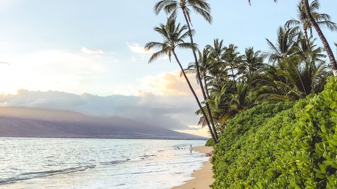 Traumurlaub auf Maui: 7 Insidertipps eines Locals