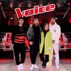 The Voice of Germany: Dieses Jury Mitglied schmeißt hin!