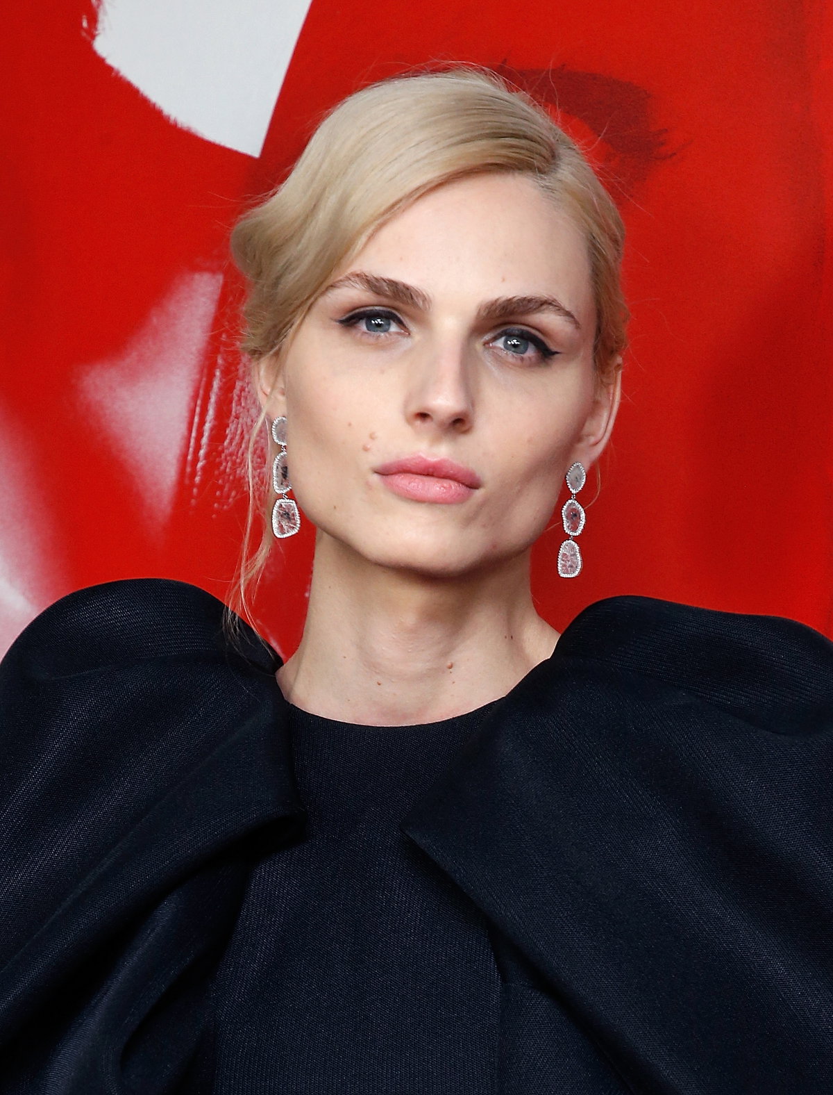 Andreja Pejić