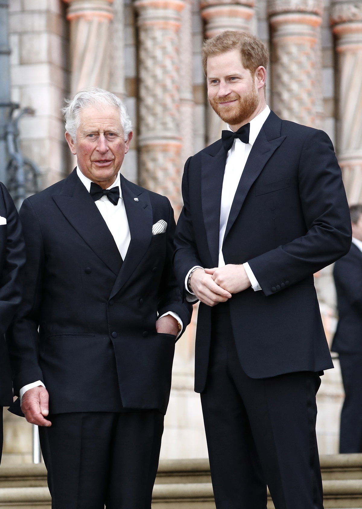 Prinz Charles und Prinz Harry