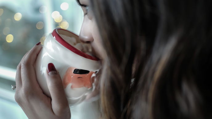 5 Tipps für ein stressfreies Weihnachtsfest