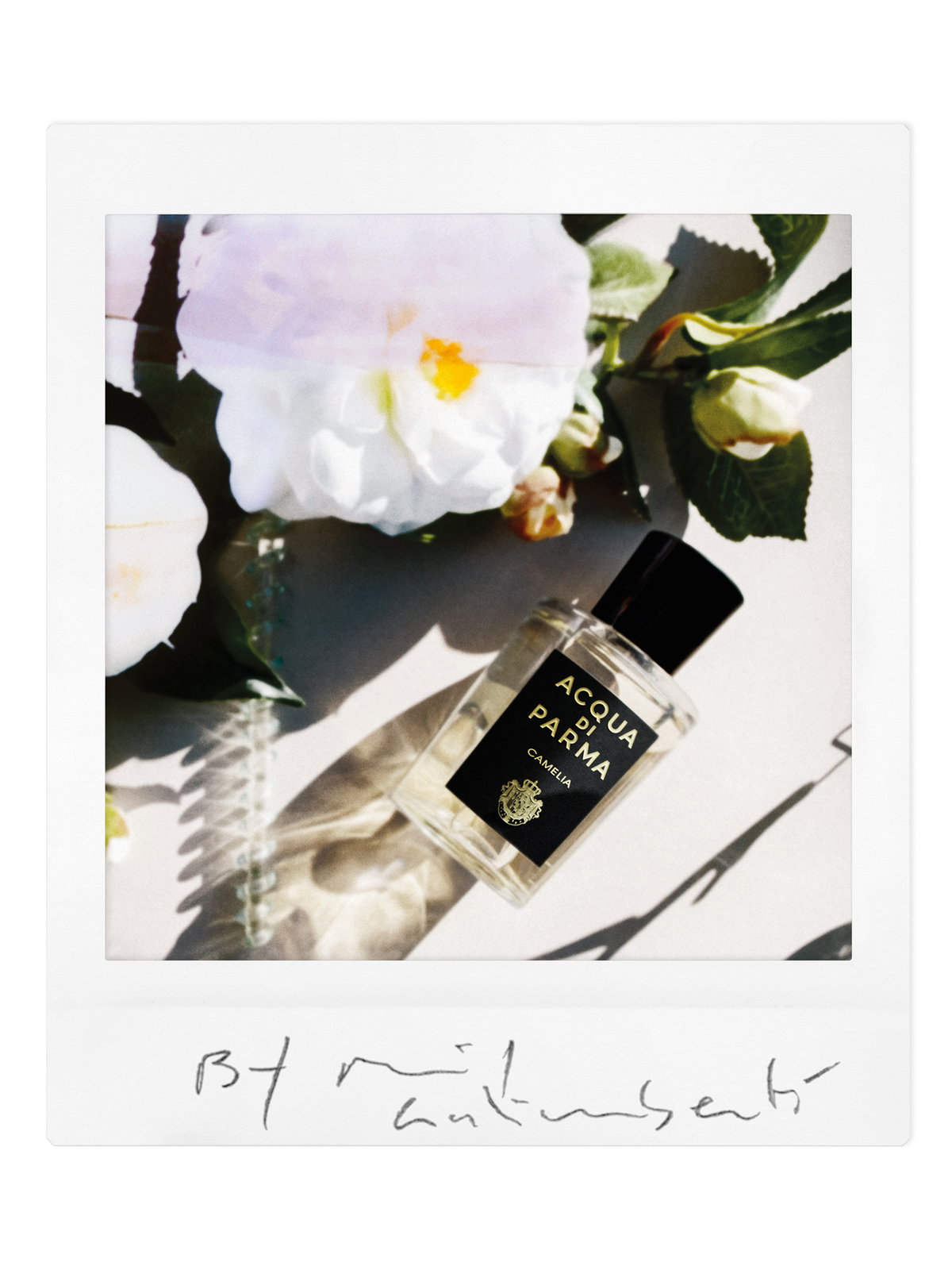 Acqua di Parma