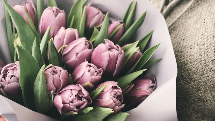 Mit diesen 3 Tipps halten eure Blumensträuße bis zu 4 Wochen!