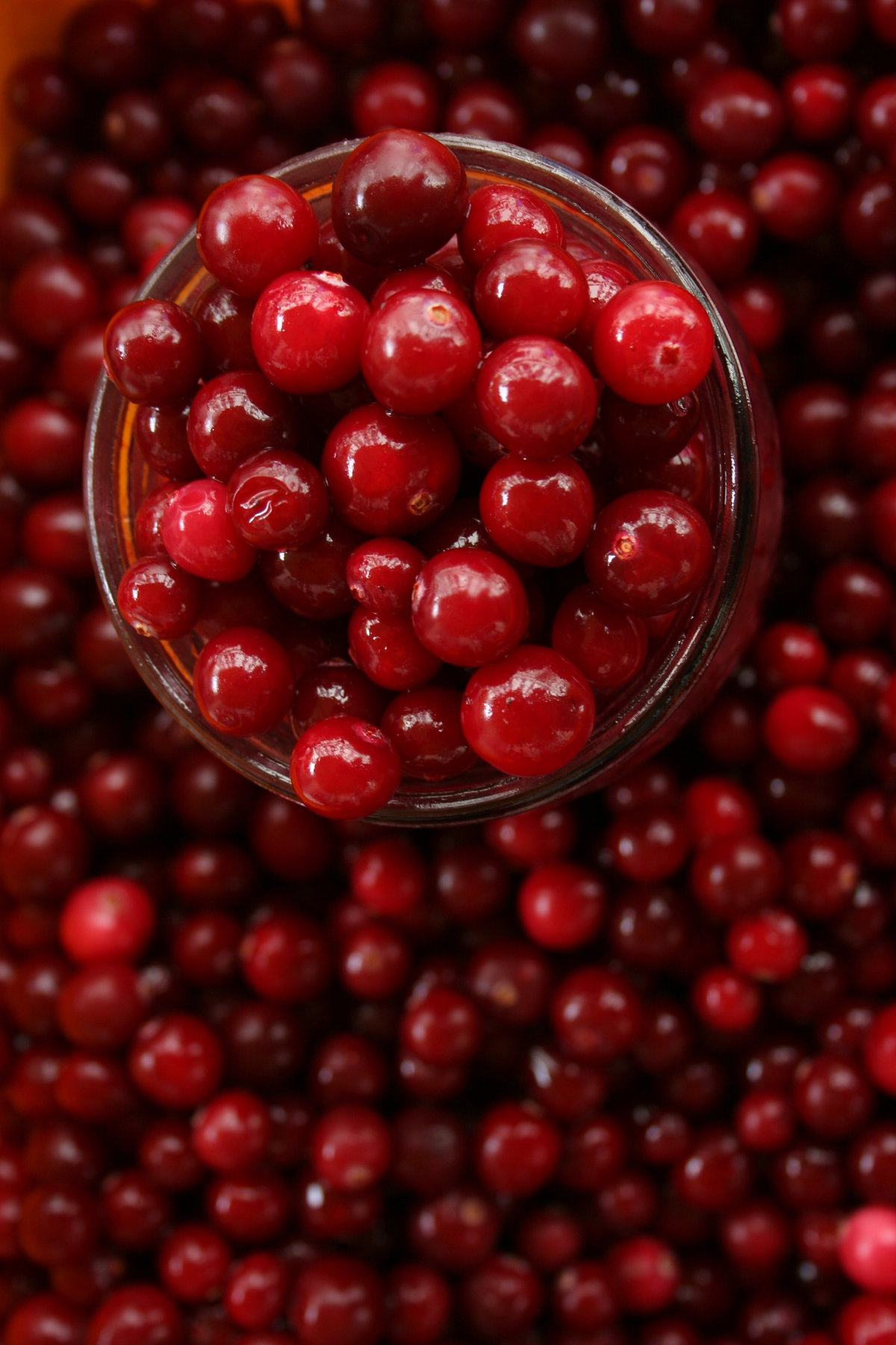 Preiselbeeren