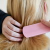Insider-Tipp von Friseuren: Mit dieser Haarbürste sieht dein Haar SOFORT voller aus!