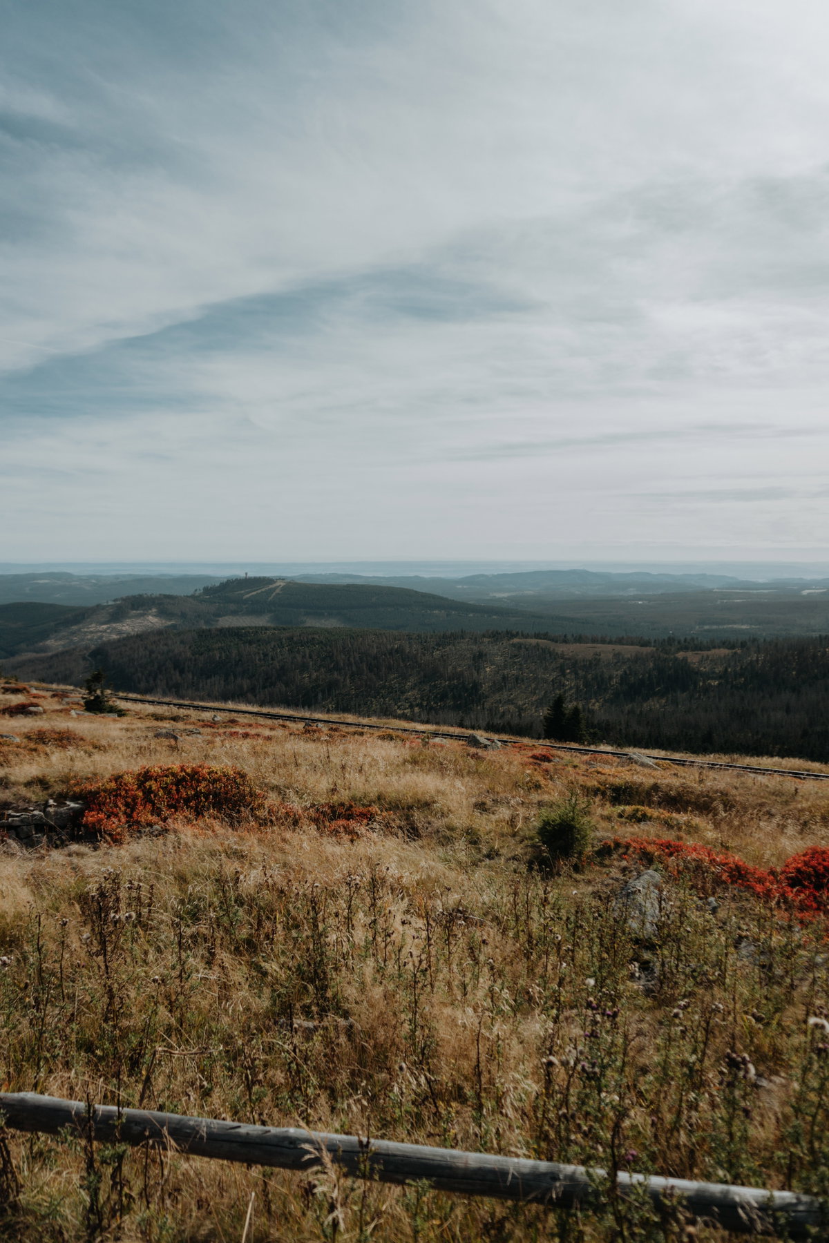 Harz