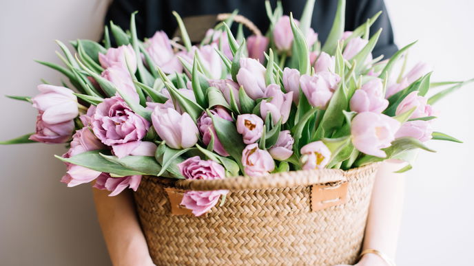 Pfingstrose, Orchidee oder Tulpe: Das verrät deine Lieblingsblume über dich