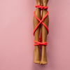Sex-Trend Shibari: So geht die Sexpraktik 
