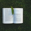 Die 3 besten Bücher für den Sommer
