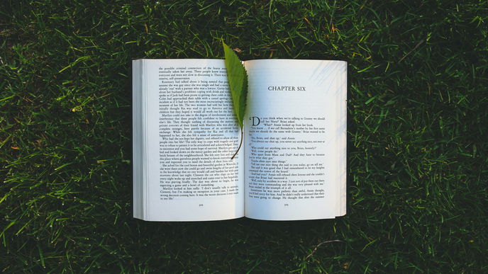 Die 3 besten Bücher für den Sommer