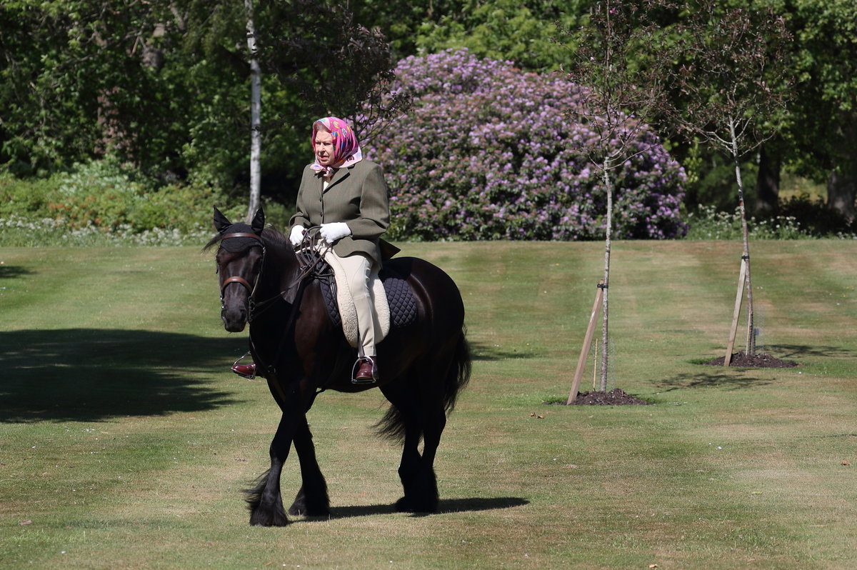 Queen auf einem Pferd