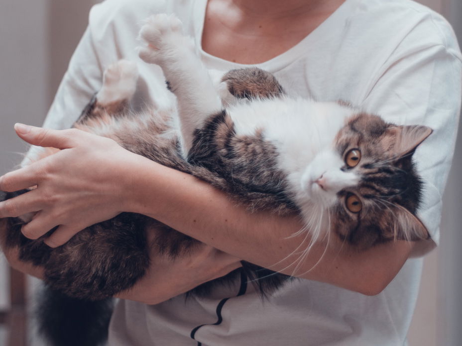 Frau mit Katze im Arm