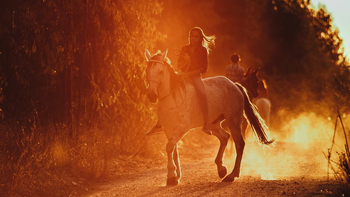Horoskop: Das ist dein Spirit Animal laut Sternzeichen!