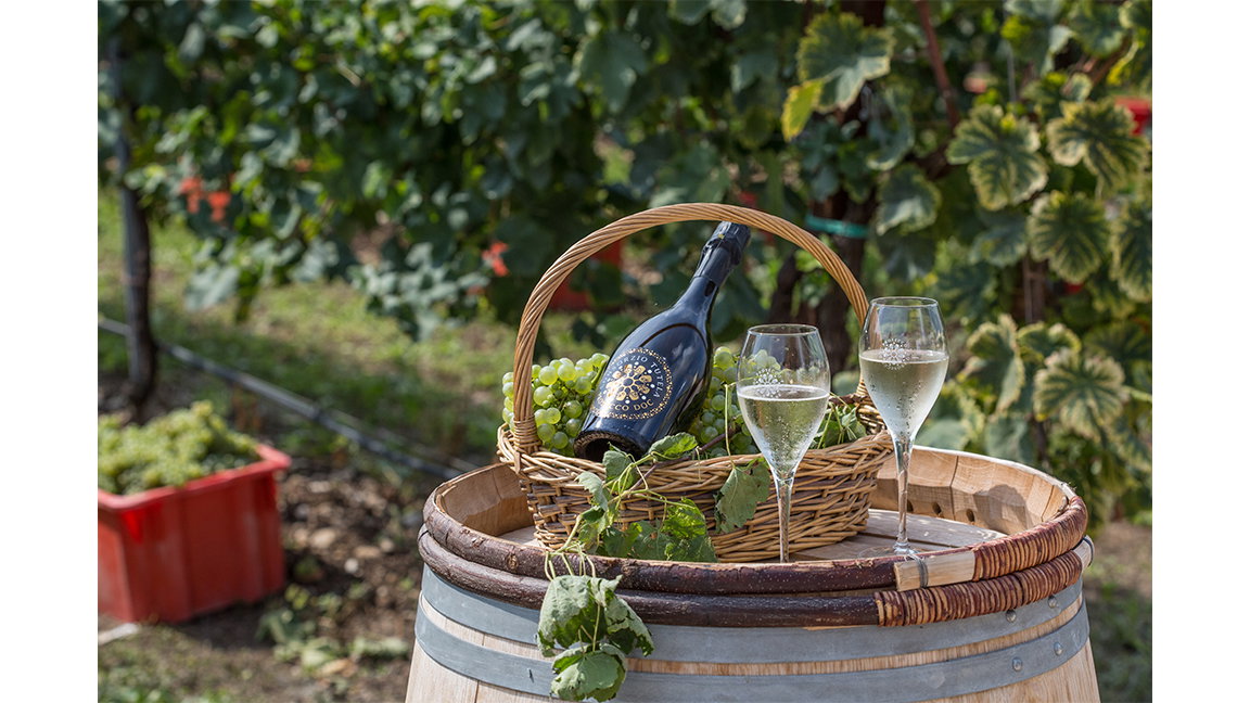 prosecco doc