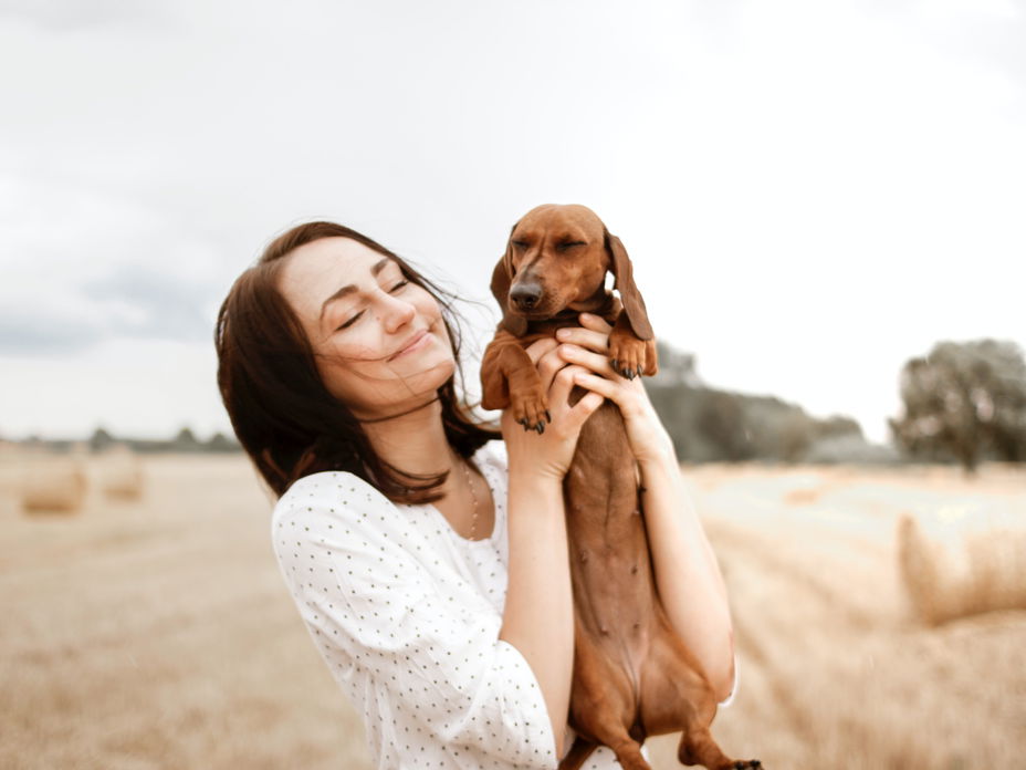 Hunde Gadgets
