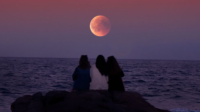 Diesen krassen Effekt hat der "Flower Moon" im Mai auf dein Sternzeichen