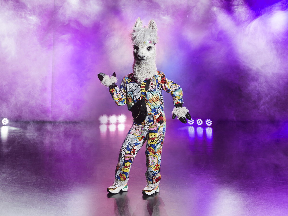 The Masked Singer Das Alpaka