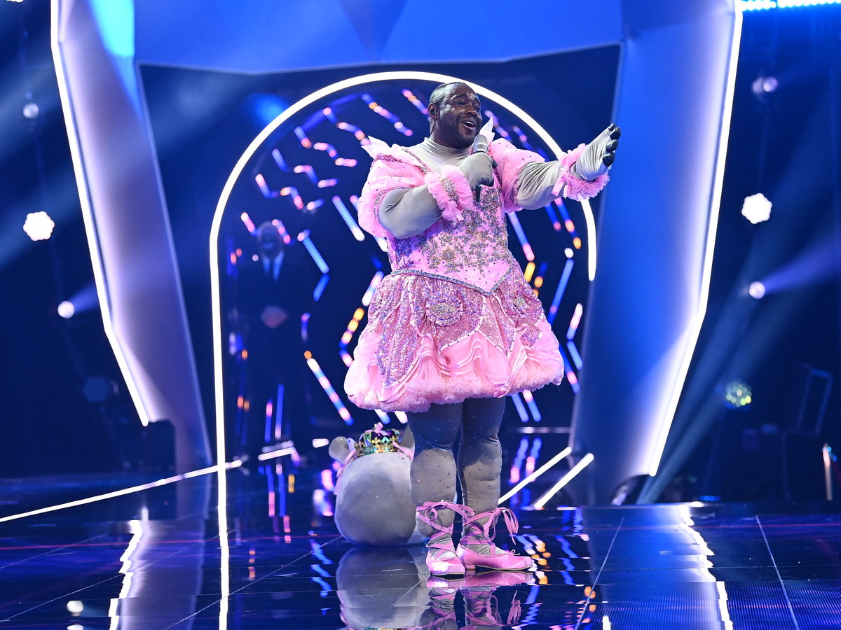 Nelson Müller als Nilpferd bei The Masked Singer