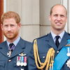 Prinz William: Seitenhieb gegen Prinz Harry? Foto mit bitterem Beigeschmack