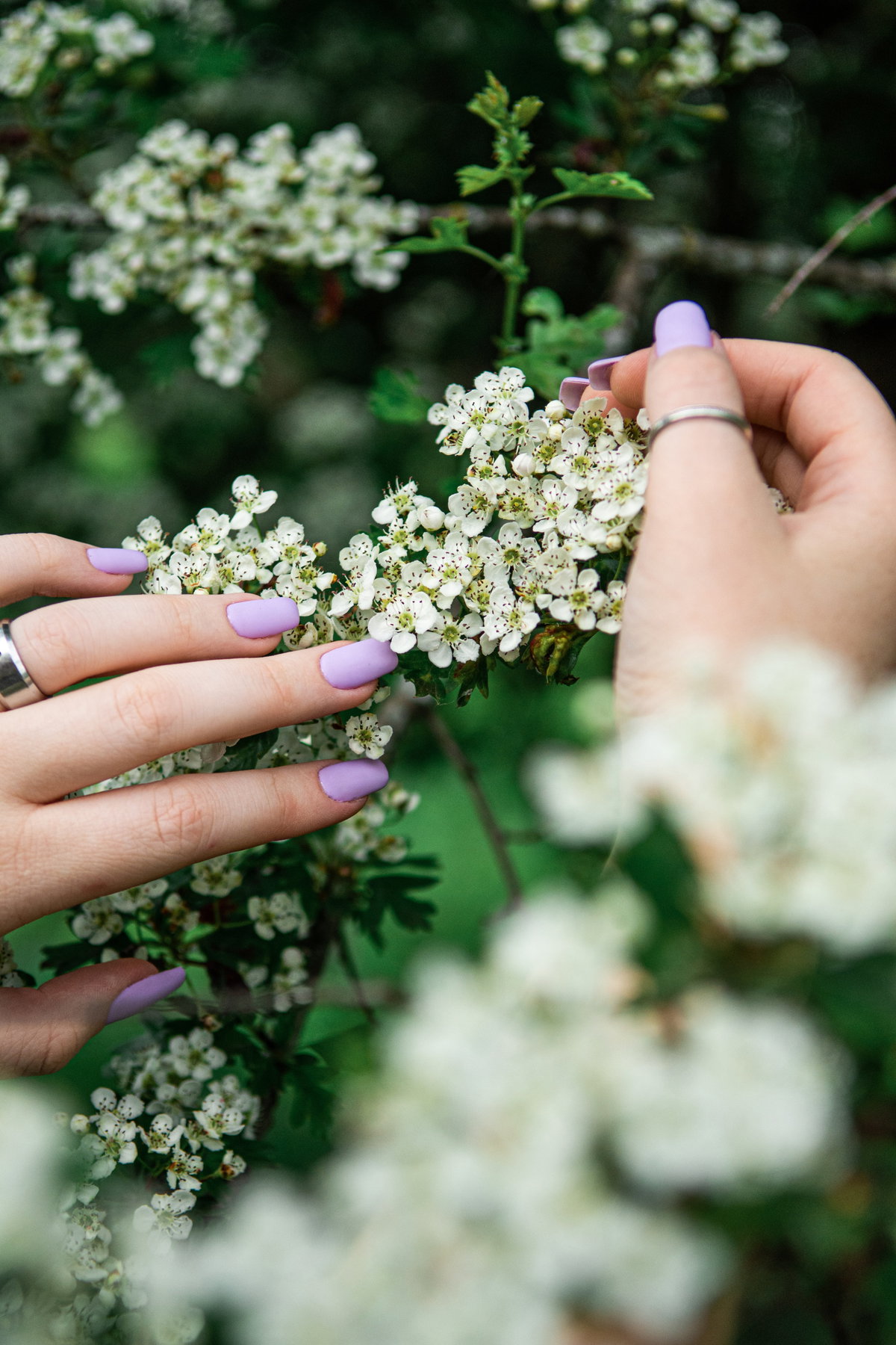 Matte Fingernägel mit lila Nagellack