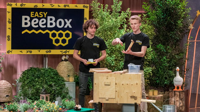 easyBeeBox bei „Die Höhle der Löwen“: So können wir die Bienen retten