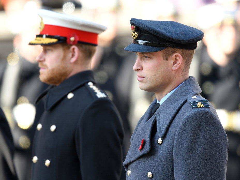 Prinz Harry und Prinz William