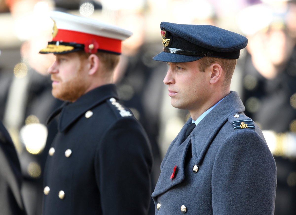Prinz Harry und Prinz William