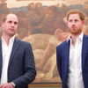Prinz Harry: Friedensangebot für Bruder William? Dieser Zoom-Call ist etwas ganz Besonderes