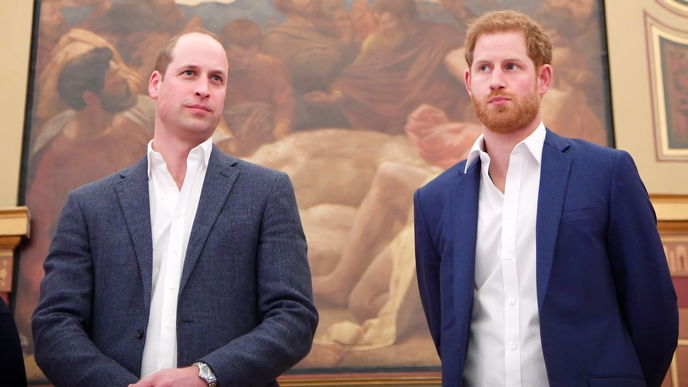 Prinz Harry: Friedensangebot für Bruder William? Dieser Zoom-Call ist etwas ganz Besonderes