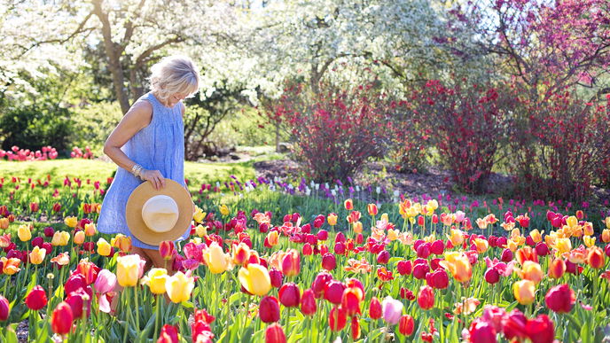 Wetter heute: Hier wird es nochmal super-sonnig