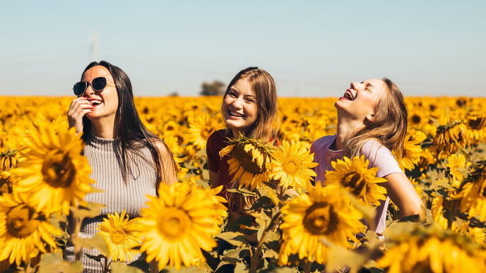 Horoskop: Für diese 3 Sternzeichen wird im Sommer alles anders