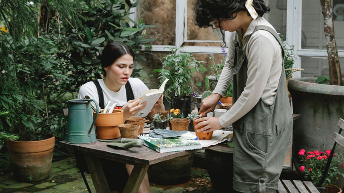 Gartentrend 2021: 5 Fehler die JEDER im Garten macht!