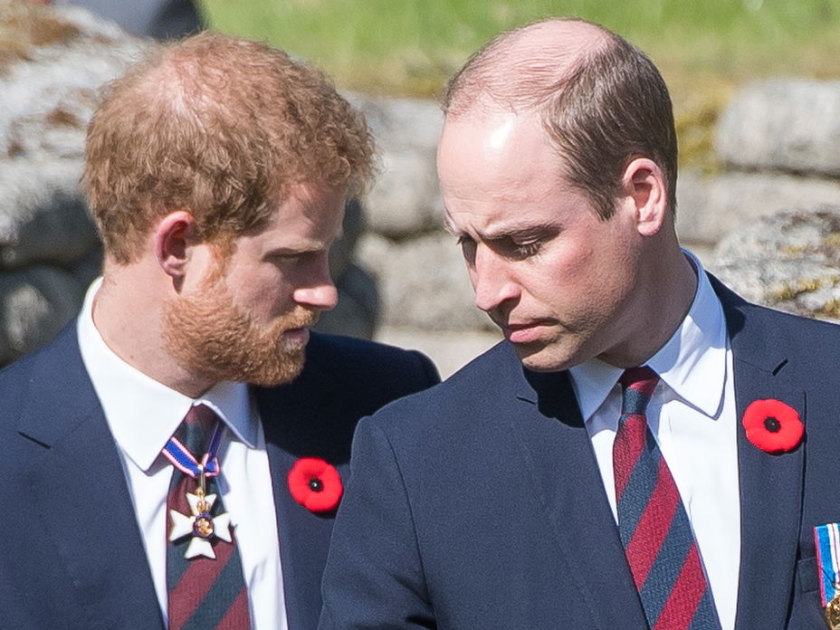 Prinz Harry und William traurig