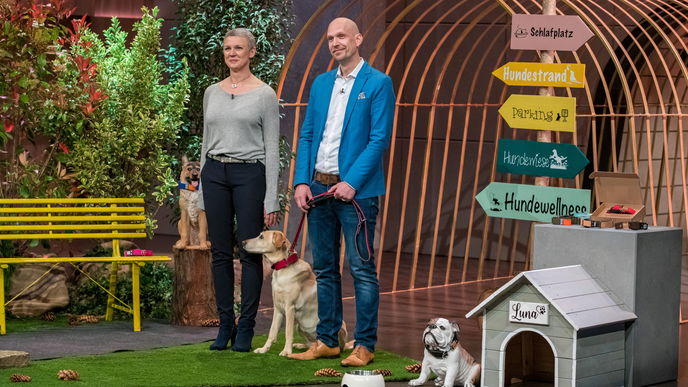 WowWow bei "Die Höhle der Löwen" 2021: So innovativ ist das Hundehalsband